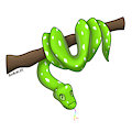 .: Sssssnek :.