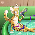 Dyson in pool