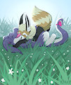 Snuggles Alma Will Regret Due to his Grass Allergy