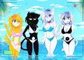 Summertime Fun