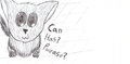 can has?