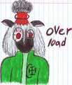 OVERLOAD!!!!