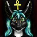 Derpy Jackal Icon