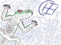 random lizard