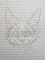 A kitty by TairenuKitty