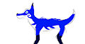 BLUE SHARK