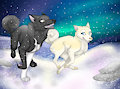 Midnight Run by SourTassieTiger