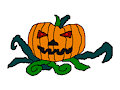 Loscream