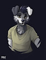 Twitter Raffle Prize from WolFirry by Joshywooful