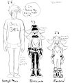 Height Chart