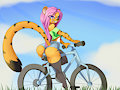 Afternoon ride