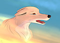 The Sunrise by Nonfinite
