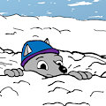 Snowball's chance