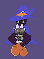 Bat snuggles