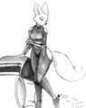 Fer-Widget