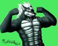 Commission: Light-The-Lucario 4