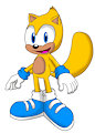 Ray the Flying Squirrel by JungleHobidon