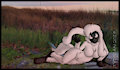 Naturally Riverside Furfrou
