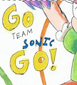 Go team Sonic GO!