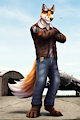 Sky Fox