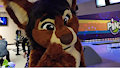 Tamias Southern Michigan Furbowl Aug 18 2018 by tamiasthechipmunk