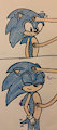 Head pats and Belly rubs