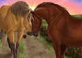 I love you like i never loved someone before