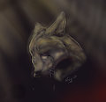 Pain