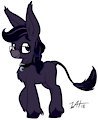 Mysty the Adorable Donkey!