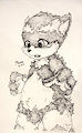 A fluffy cute one