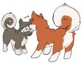 Puppy Licking