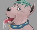 Drooly boi