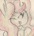 Wink