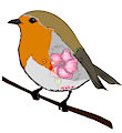 European Robin