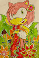 Amy Rose- Beach Postcard by mokuita