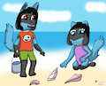 Sea Shell Hunting