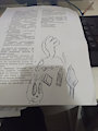 Just some drawings XD by MagiJupiter