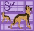 Star Reference