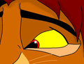 Simba by UchihaDEMS