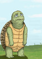 Sad Turtle