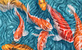 Koi by Mushbun