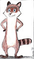 RJ the Raccoon