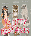 *ADOPTABLES*_Fuzzy females