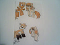Older Tails and Cream forms