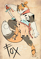 Wind spirit fox wants to battle