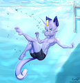 Alolan Pool