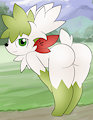 Shaymin booty