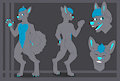 Brite Paw Reference Sheet