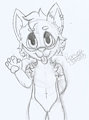 #292 - Badge Chase [WIP] by RomeoTheFox