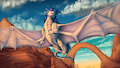 Canyon soaring